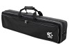 NS Standard Violin Case